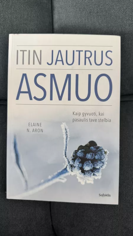 ITIN JAUTRUS ASMUO - N. Aron Elaine, knyga 2