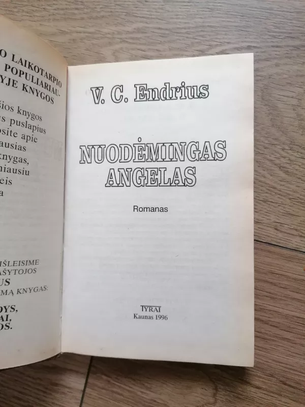 Nuodėmingas angelas - V. C. Endrius, knyga 3
