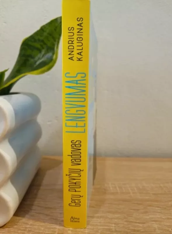 Gerų pokyčių vadovas. Lengvumas - Andrius Kaluginas, knyga 4