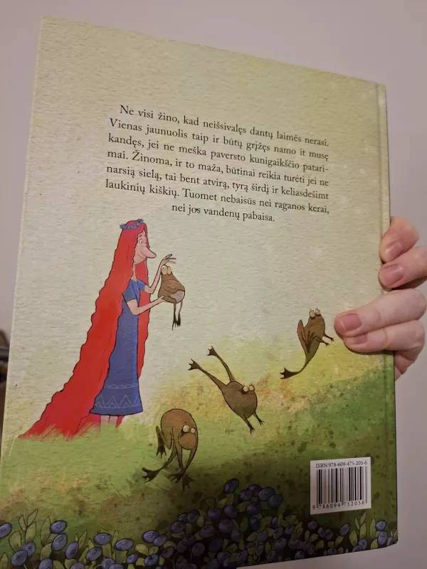 Buliaus kalnas - Dainius Šukys, knyga 3