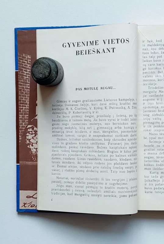 Literatūros ir meno pasaulyje - Teofilija Vaičiūnienė, knyga 6