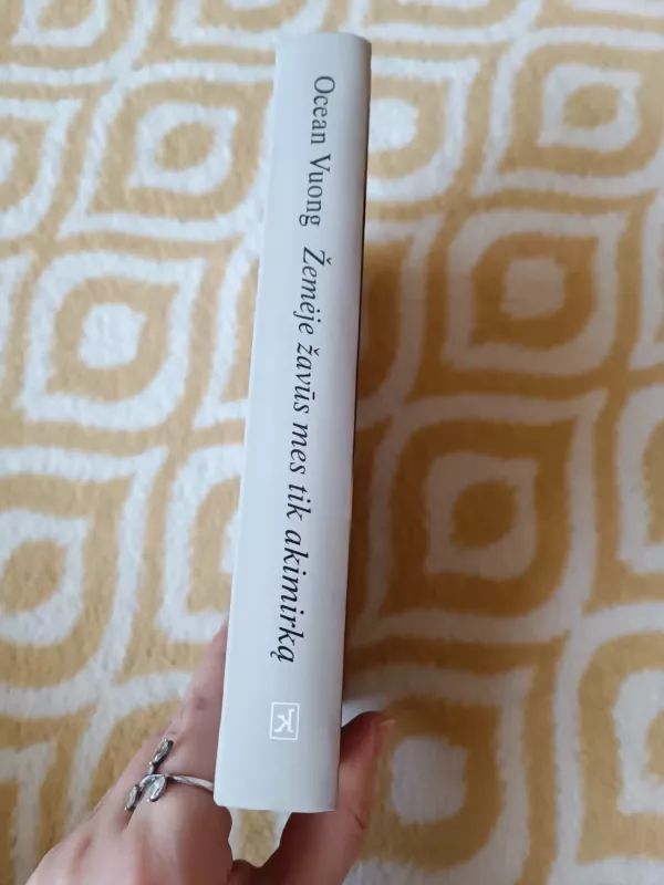 Žemėje žavūs mes tik akimirką - Ocean Vuong, knyga 3