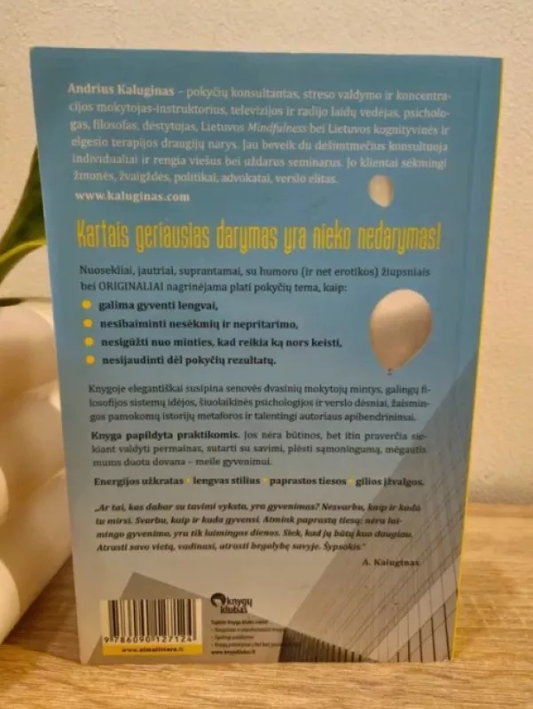 Gerų pokyčių vadovas. Lengvumas - Andrius Kaluginas, knyga 3