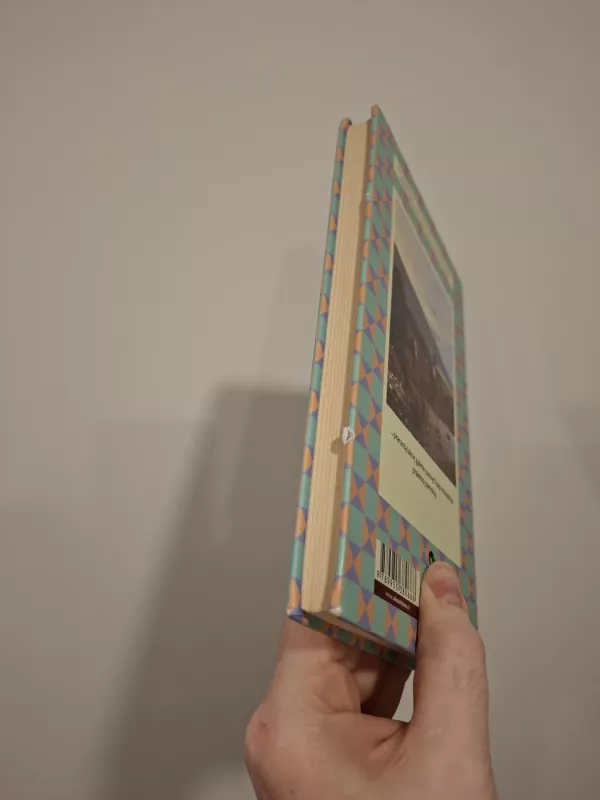 Dvynukės - Erich Kastner, knyga 3