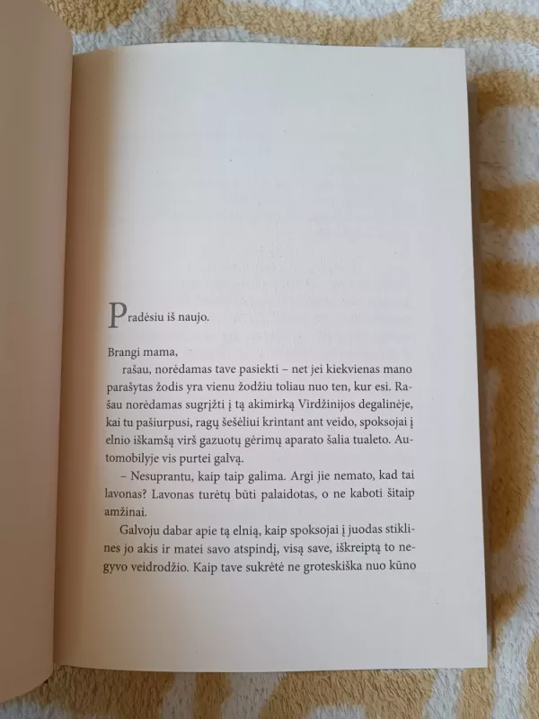 Žemėje žavūs mes tik akimirką - Ocean Vuong, knyga 4