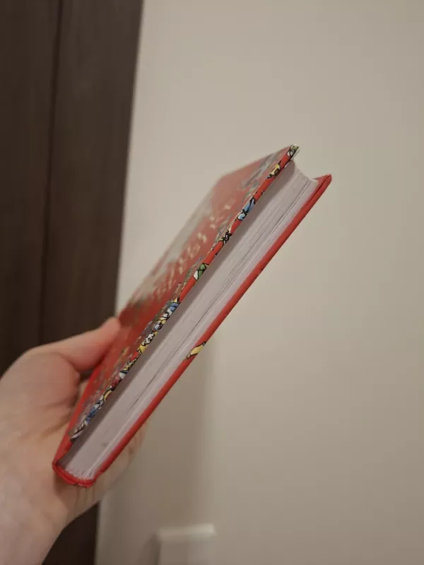 Močiutė plėšikė - David Walliams, knyga 4