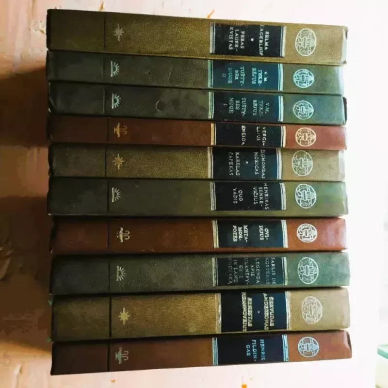 Raudona ir juoda - Stendalis, knyga 2