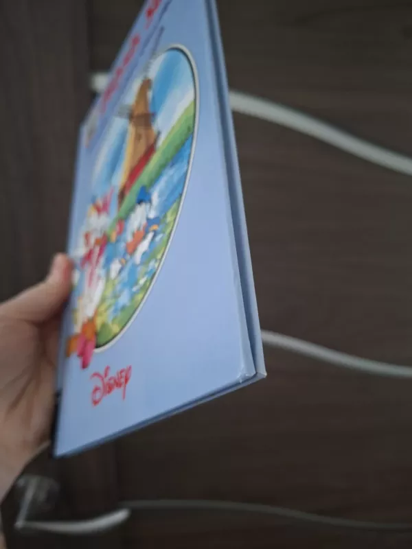 Didysis Sūris. Donaldo nuotykiai Olandijoje - Walt Disney, knyga 5
