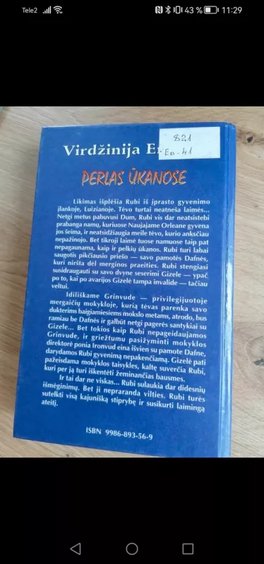 Perlas ūkanose - V. C. Endrius, knyga 4