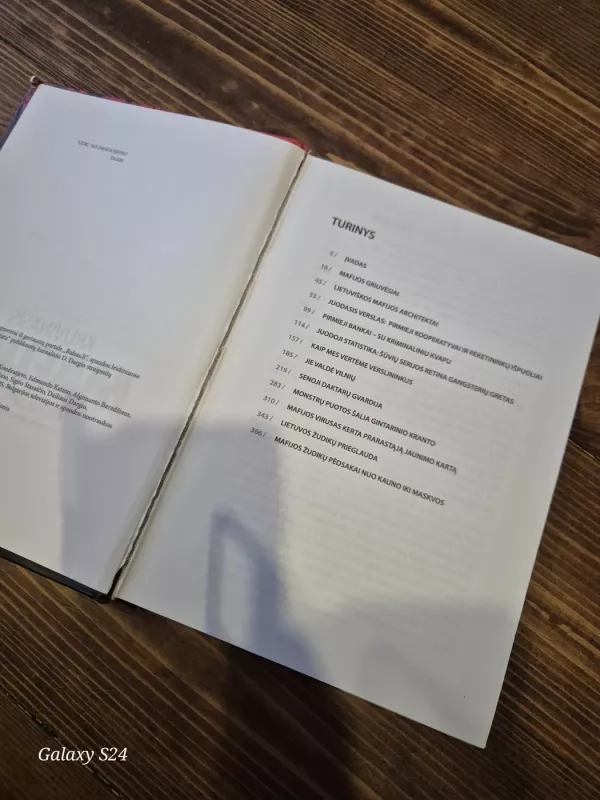 Kruvinasis mafijos maršrutas - Dailius Dargis, knyga 6