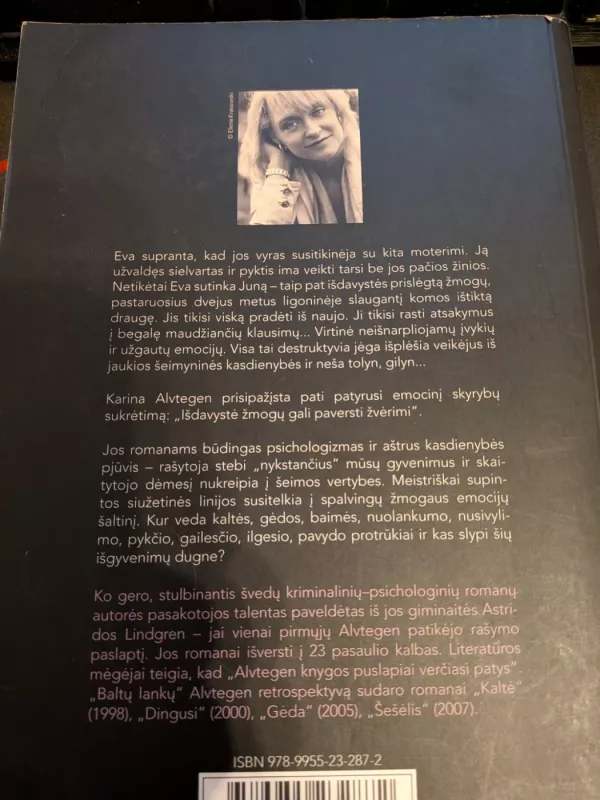 Išdavystė - Karin Alvtegen, knyga 2