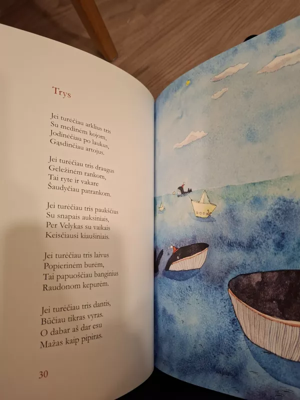 Voro koja - Marius Marcinkevičius, knyga 3