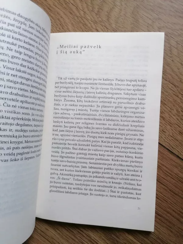 Užpustytas traukinys - Bitė Vilimaitė, knyga 6