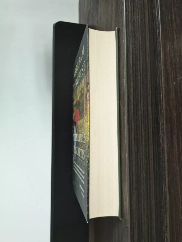 Vienuolės paslaptis - Abraham Verghese, knyga 6