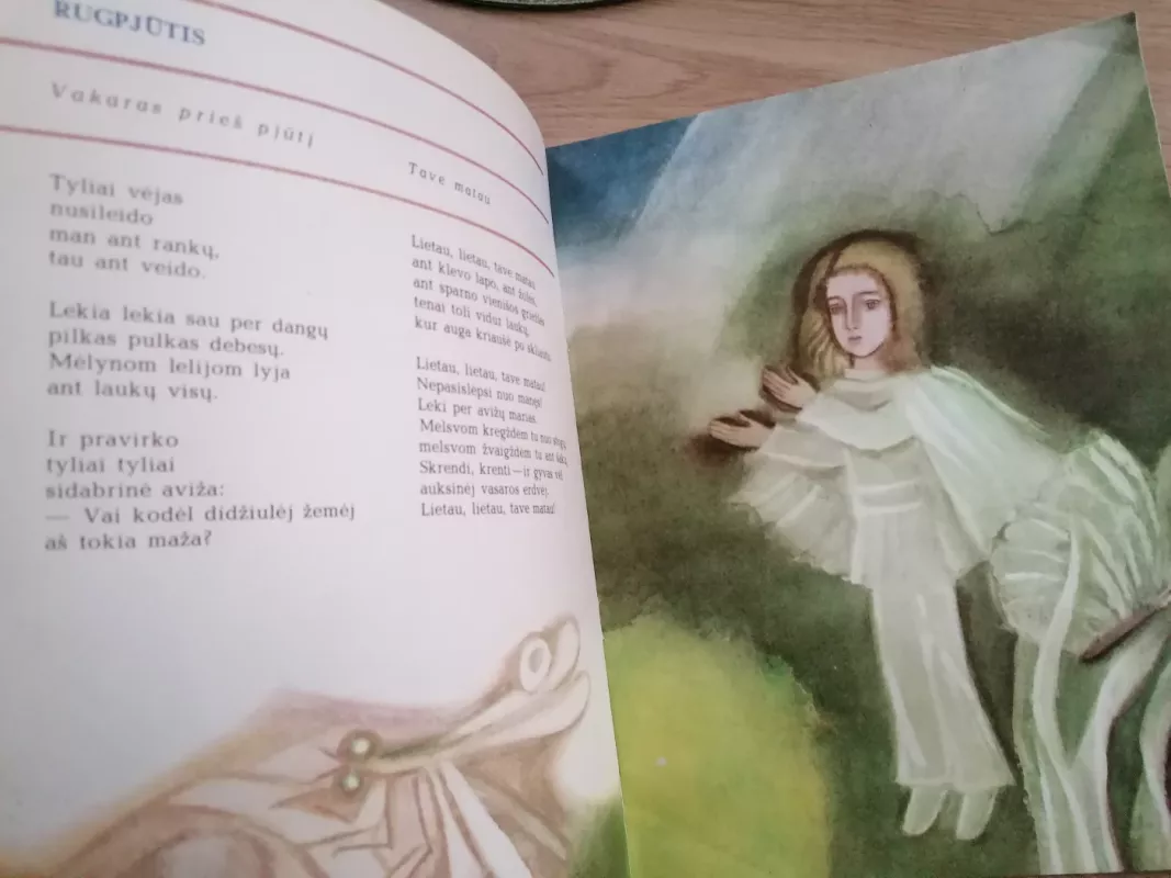 Saulės pėdom - Janina Degutytė, knyga 4