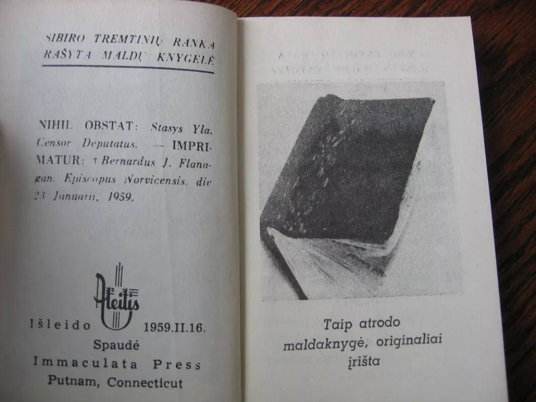 Marija, gelbėki mus - Autorių kolektyvas, knyga 4