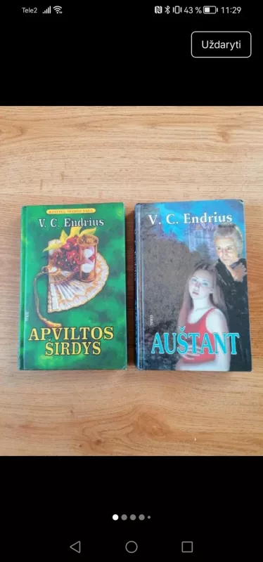 Auštant - V. C. Endrius, knyga 2