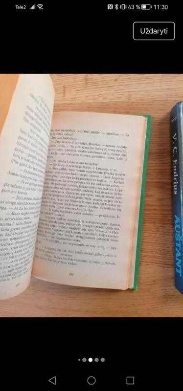 Auštant - V. C. Endrius, knyga 6