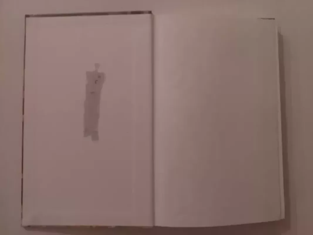 Švedijos istorijos apžvalga - Jorgenas Veibulas, knyga 4