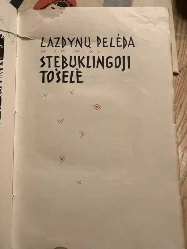 Stebuklingoji tošelė - Lazdynų pelėda, knyga 3