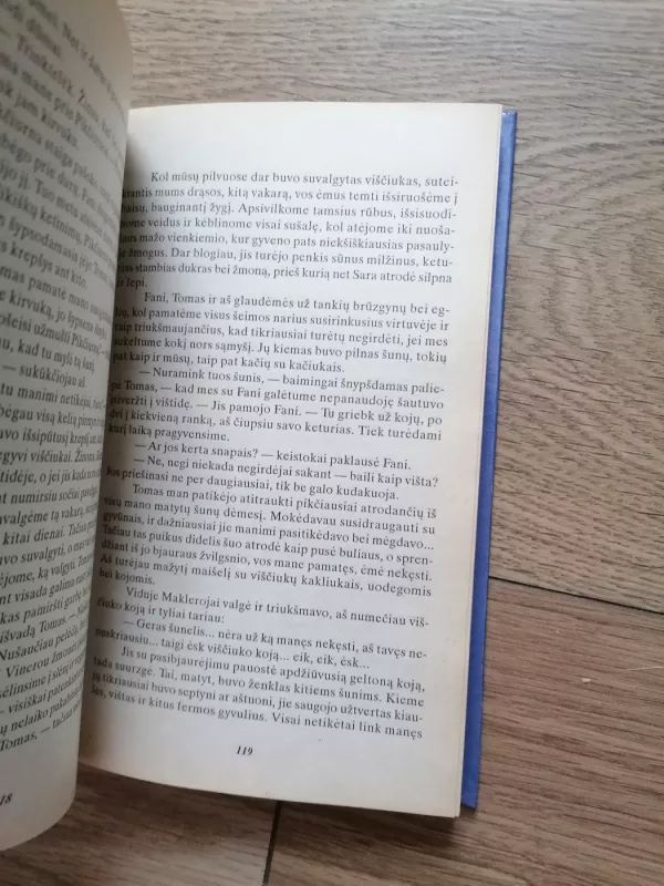 Heven - V. C. Endrius, knyga 4