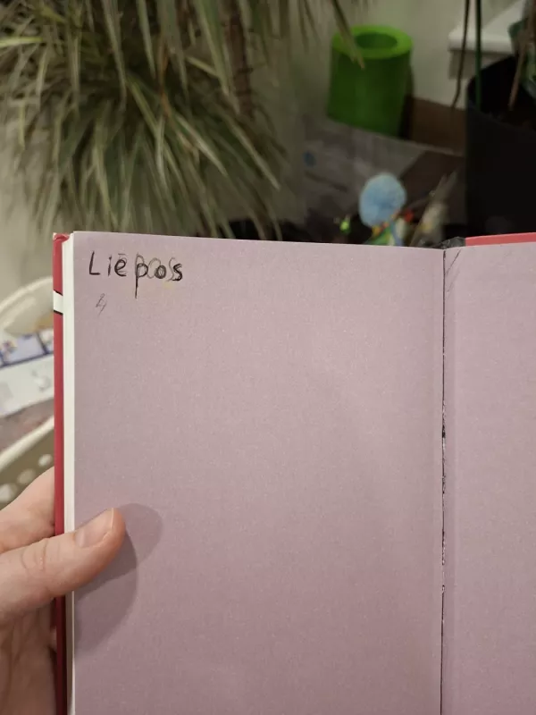 Domas ir Tomas. Virėjos Irenos byla - Tomas Dirgėla, knyga 3