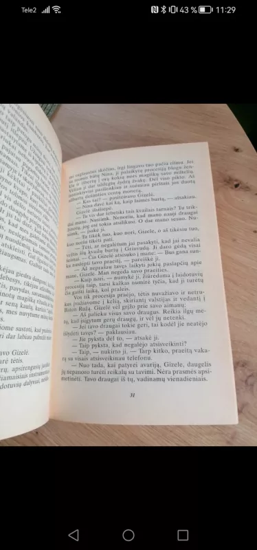 Perlas ūkanose - V. C. Endrius, knyga 6