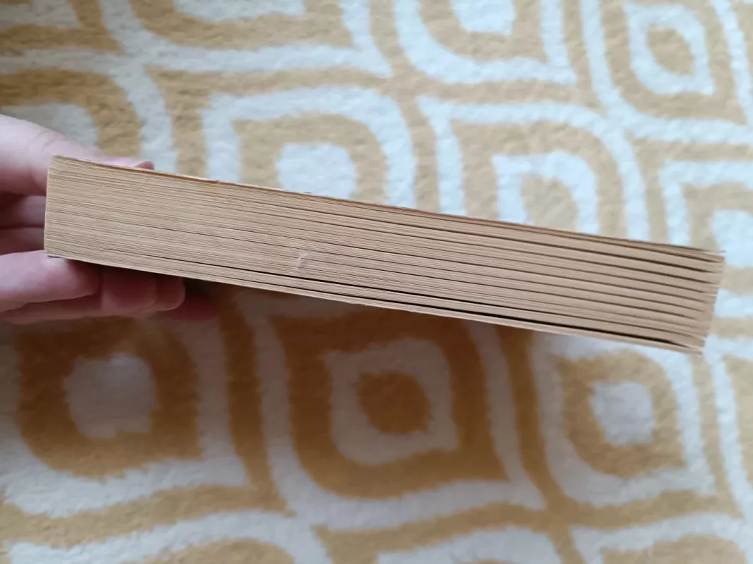 Neatsitiktinis Bučinys - Scott Bronwyn, knyga 4