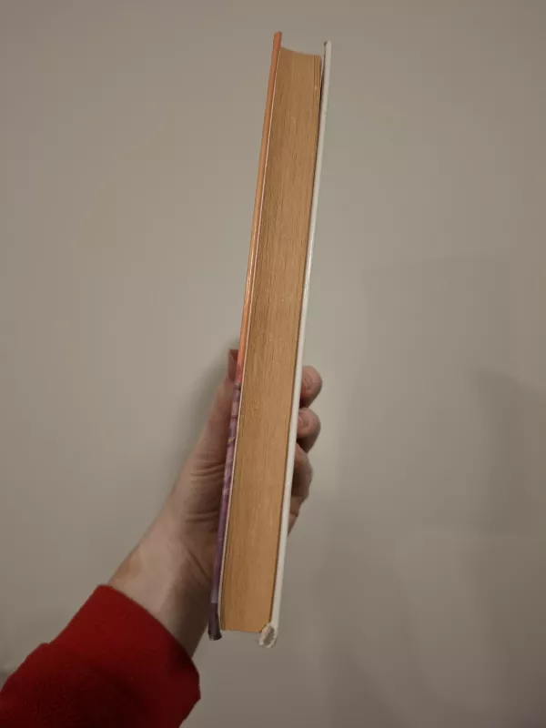 Pasaulių karas - Herbertas Velsas, knyga 3