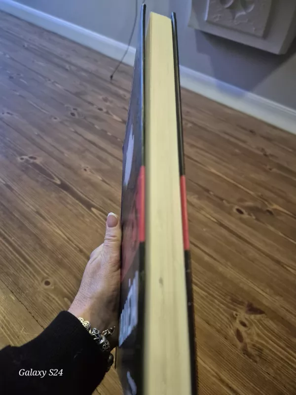 Mirties pardavėjai. Lietuvos mafijos istorija - Vytautas Žutautas, Aurelija  Jaruševičiūtė, knyga 3