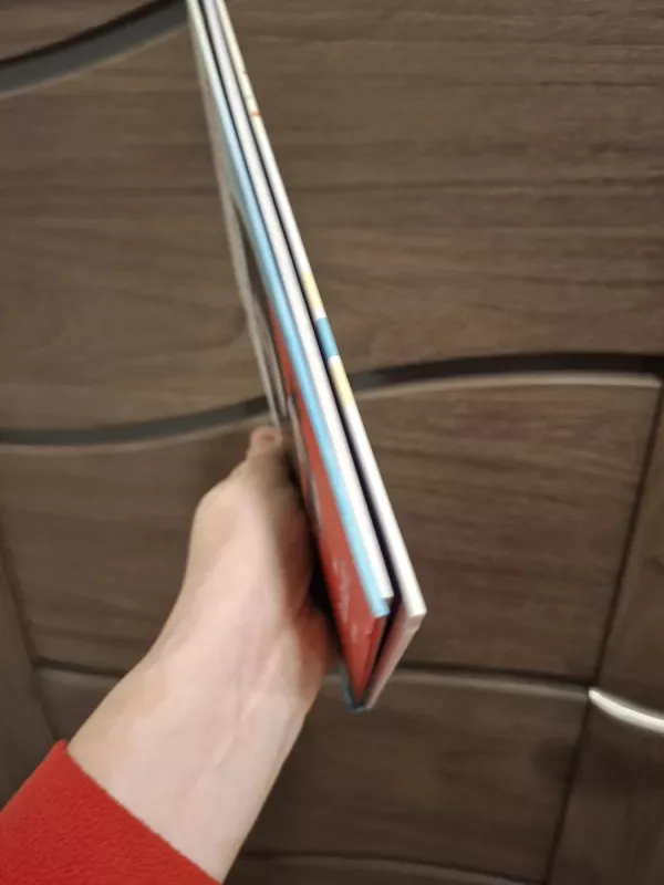 Katinėlis Juodis. Geriausi draugai - Rob Scotton, knyga 4