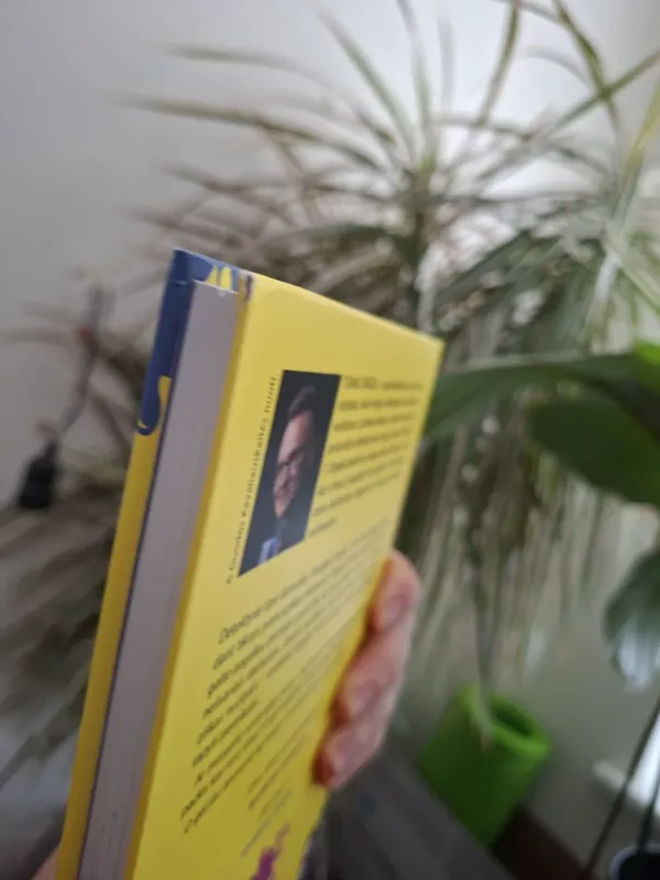 Domas ir Tomas. Detektyvės Upės byla Paryžiuje. 16 knyga - Tomas Dirgėla, knyga 3