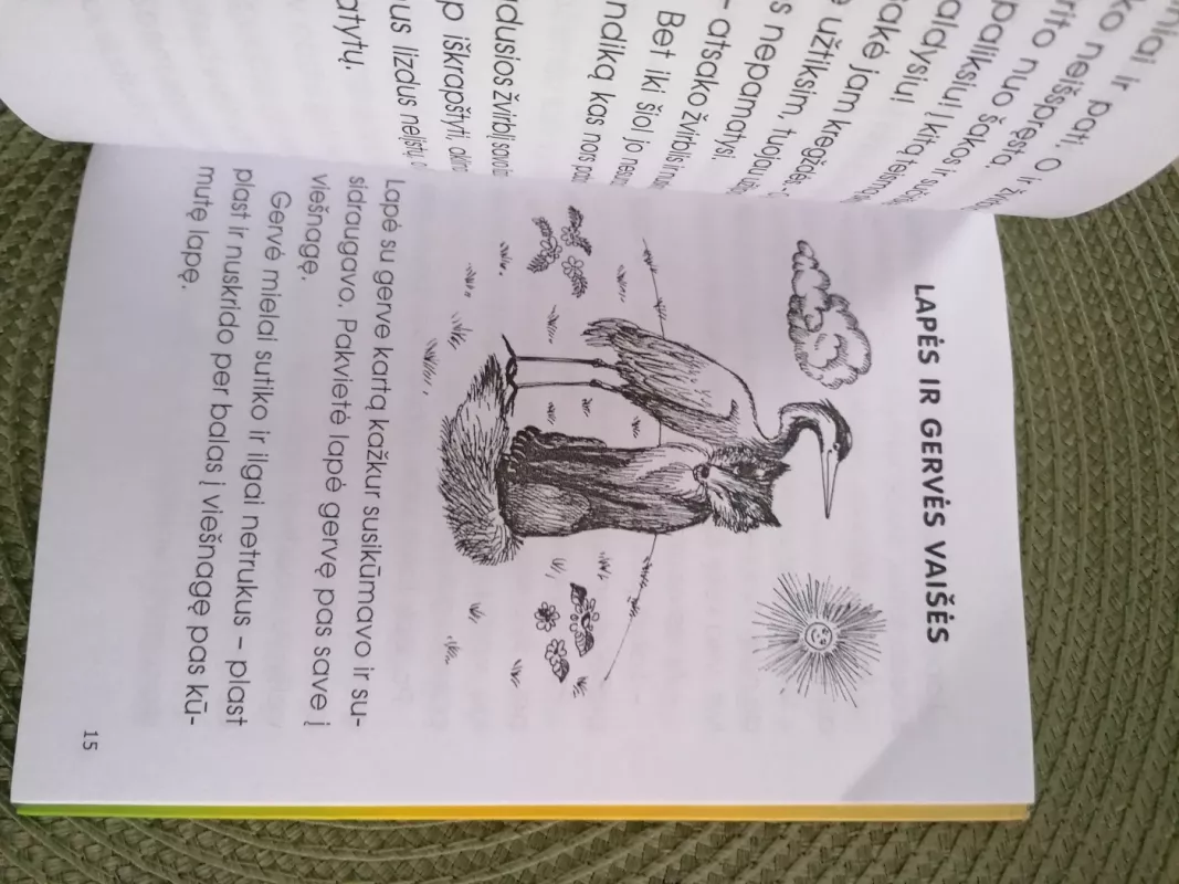 Nykštukas - paukščių karalius - Kazys Boruta, knyga 5