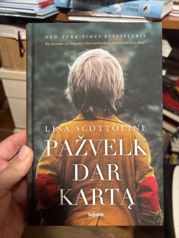 Pažvelk dar kartą - Lisa Scottoline, knyga 2