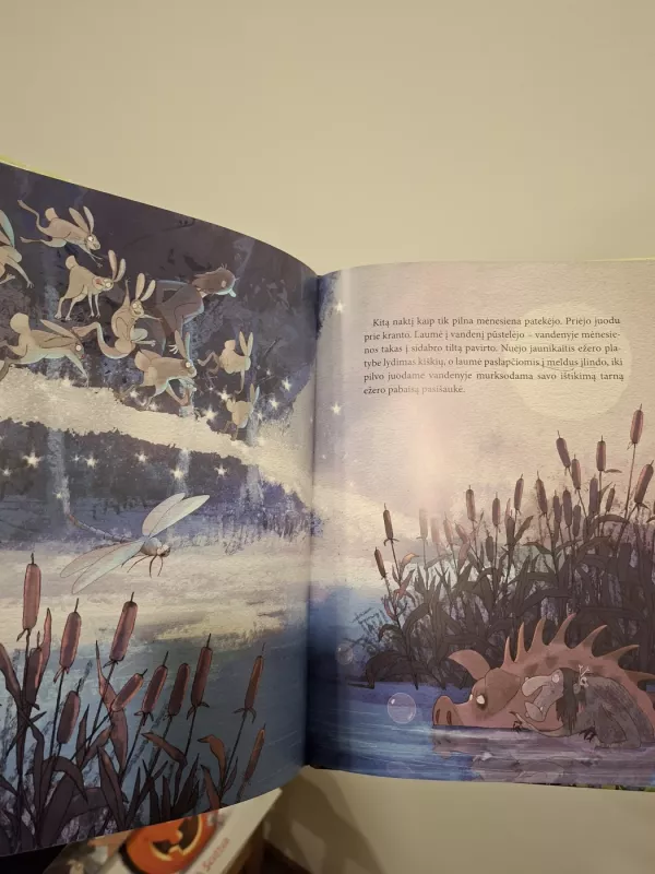 Buliaus kalnas - Dainius Šukys, knyga 5