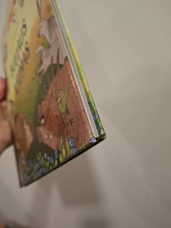 Buliaus kalnas - Dainius Šukys, knyga 4