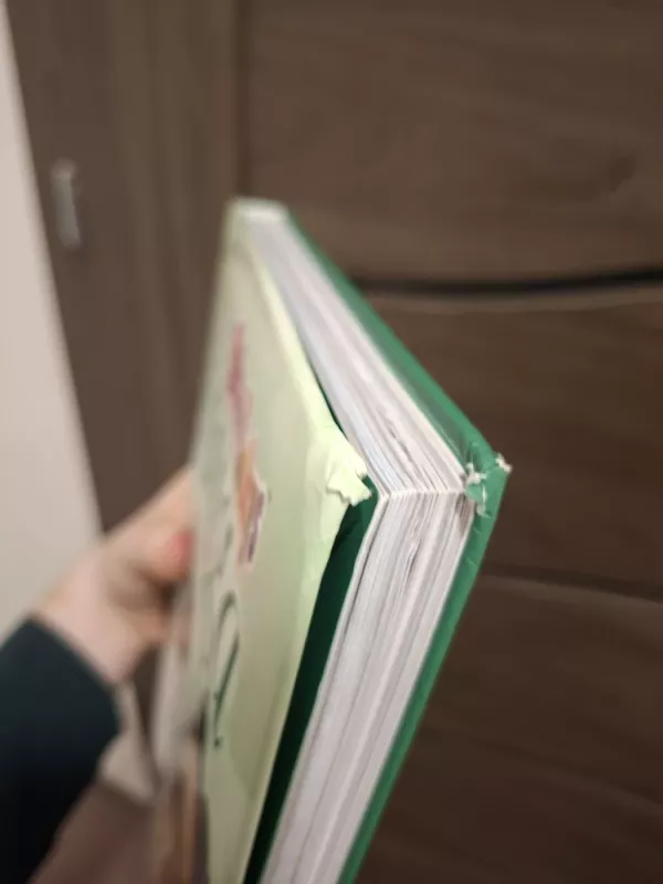 Maša ir Lokys. Didžiulė knyga apie visokius reikalus - Autorių Kolektyvas, knyga 4