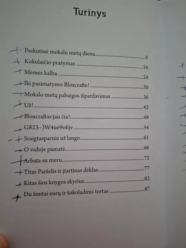 Domas ir Tomas. Pasaulio pabaigos byla. - Tomas Dirgėla, knyga 3