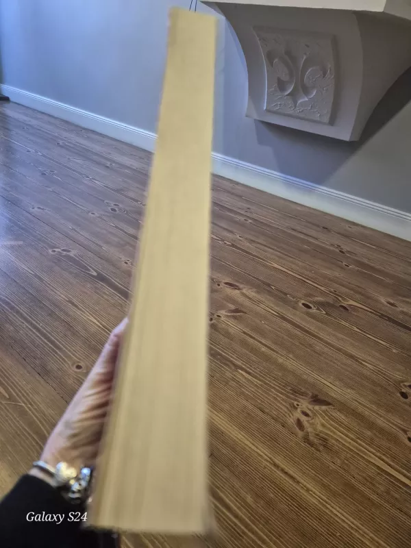 Raudonasis mėnulis - Miranda Gray, knyga 3