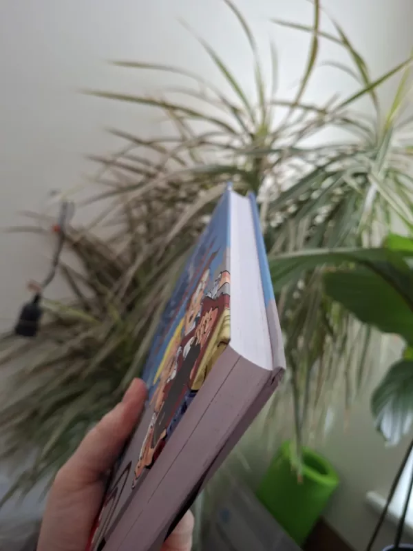 Domas ir Tomas. Išklerusio autobuso detektyvas - Tomas Dirgėla, knyga 4