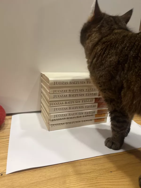 Baltušis Raštai (visi 8 tomai) - Juozas Baltušis, knyga 3