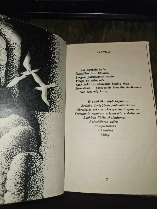 Prieblandų sodai - Janina Degutytė, knyga 4