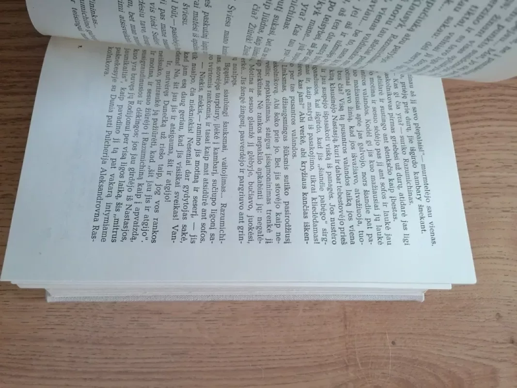 Nusikaltimas ir bausmė - Fiodoras Dostojevskis, knyga 3