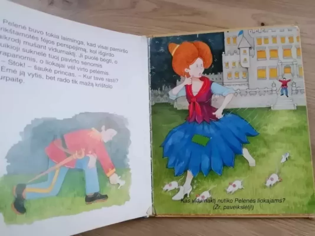 Pelenė - Janet Brown, knyga 5