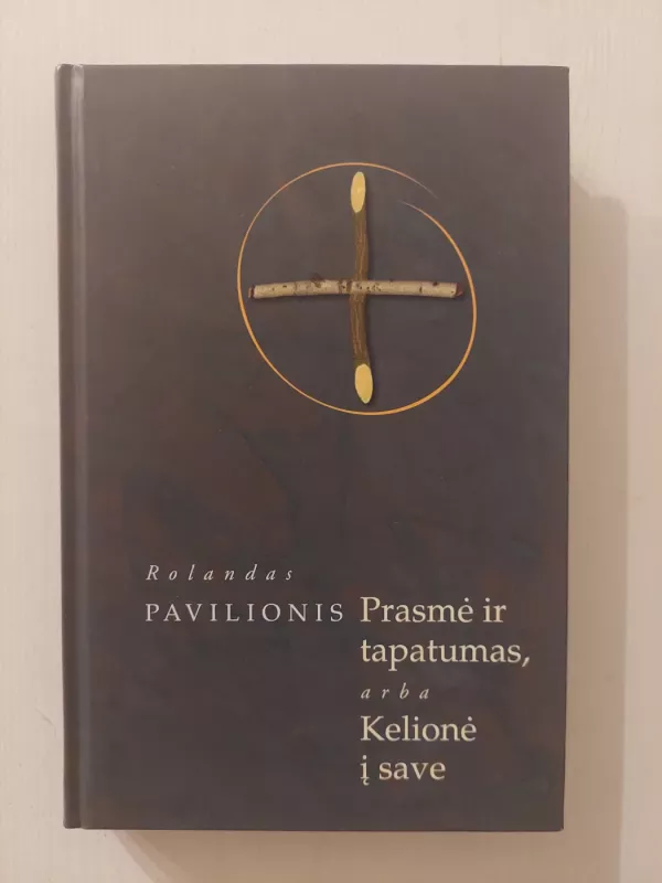 Prasmė ir tapatumas, arba kelionė į save - Rolandas Pavilionis, knyga 2