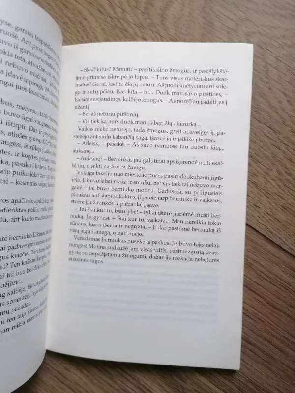 Užpustytas traukinys - Bitė Vilimaitė, knyga 4