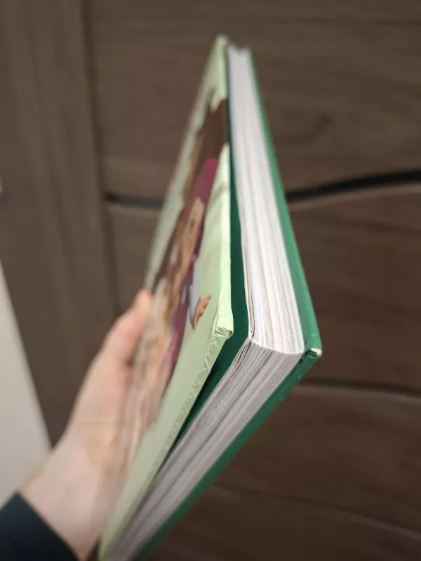 Maša ir Lokys. Didžiulė knyga apie visokius reikalus - Autorių Kolektyvas, knyga 3