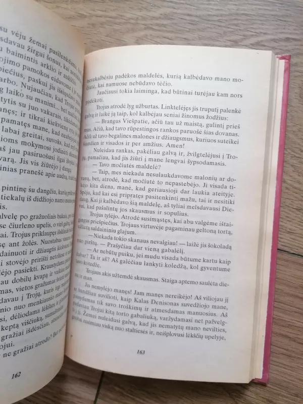 Nuodėmingas angelas - V. C. Endrius, knyga 4