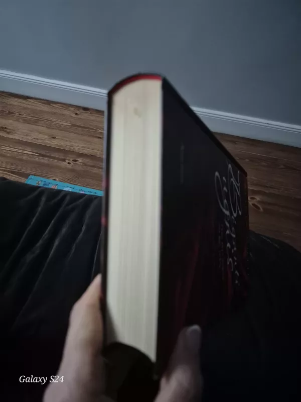 Bėganti ugnis - Gutje Alicia, knyga 4