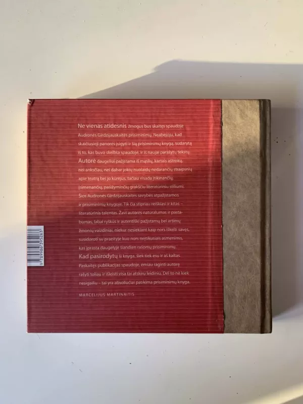 Atminties salos. Atsiminimai - Audronė Girdzijauskaitė, knyga 3